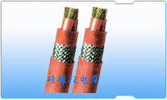 ϵ